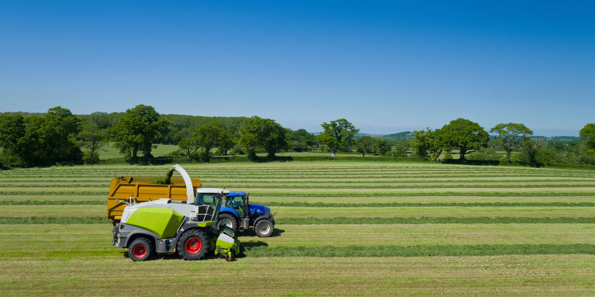 Silage forming scheme